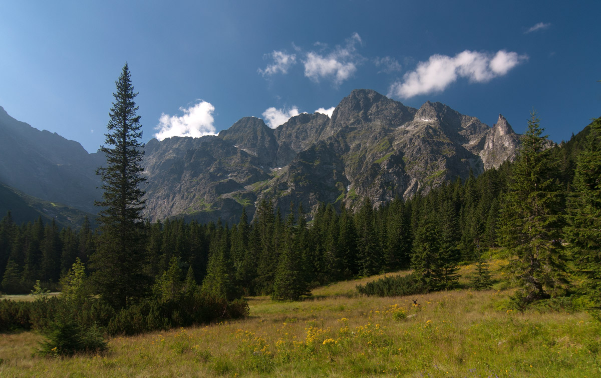 August in den Bergen