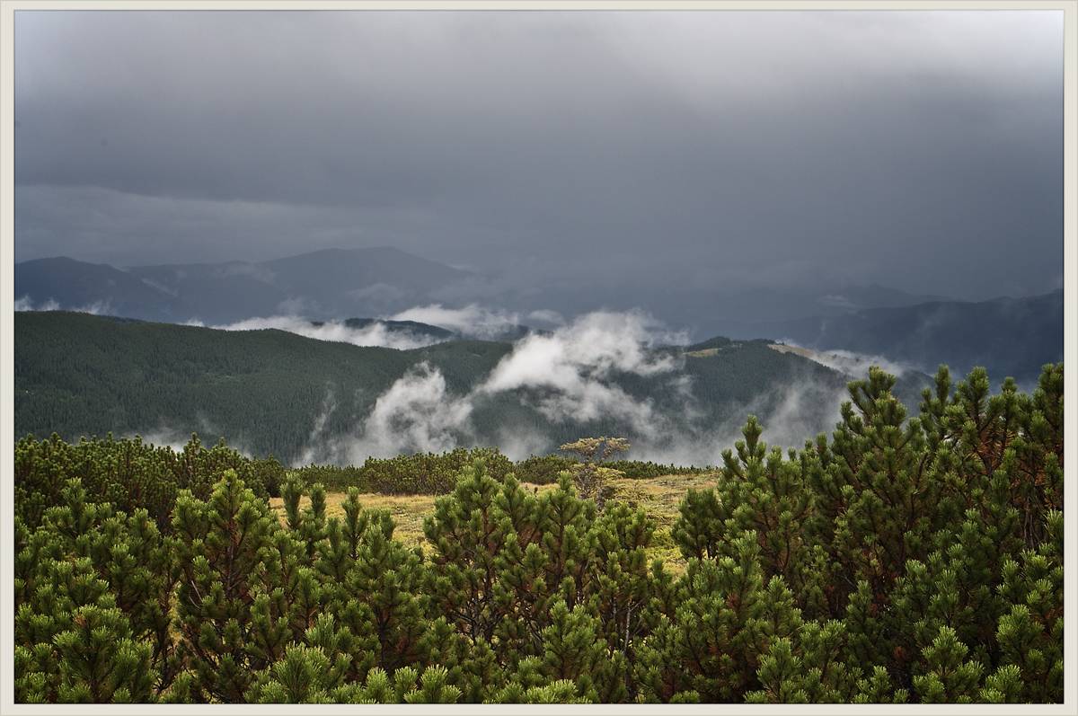 Sturm auf dem Hang des Black Mountain
