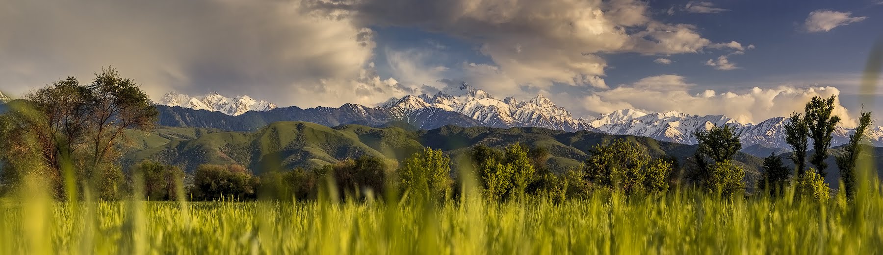 Soñando con California