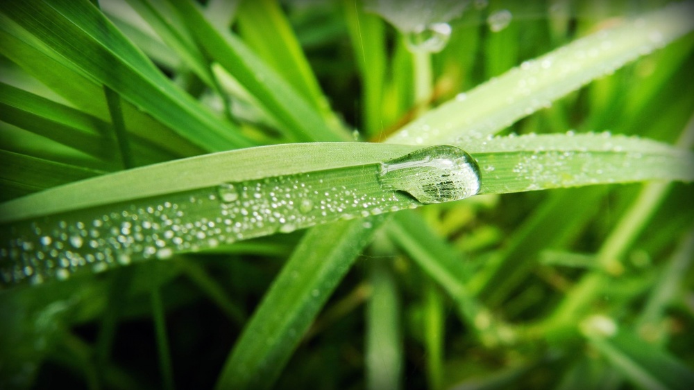 sauber wie eine Träne