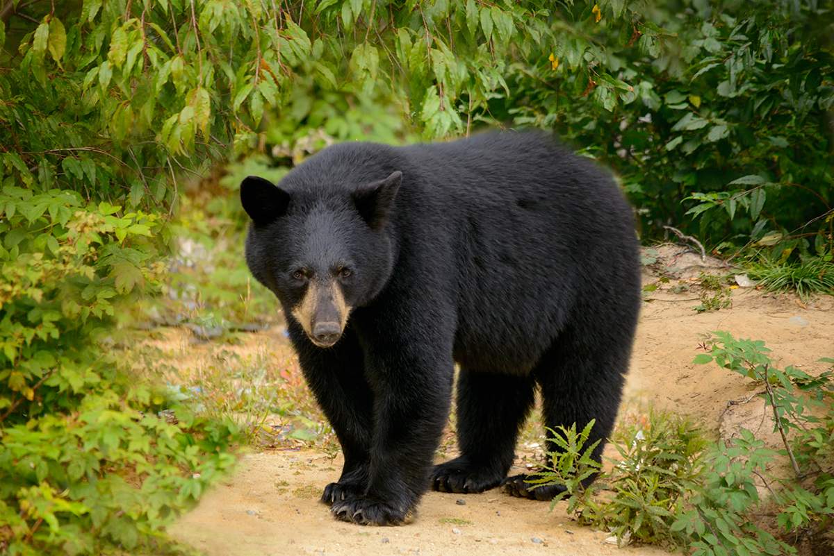 ...are we talking about trust?