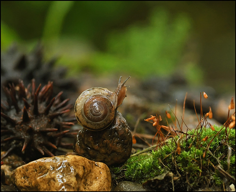 Meine Liebe, wo bist du? ...