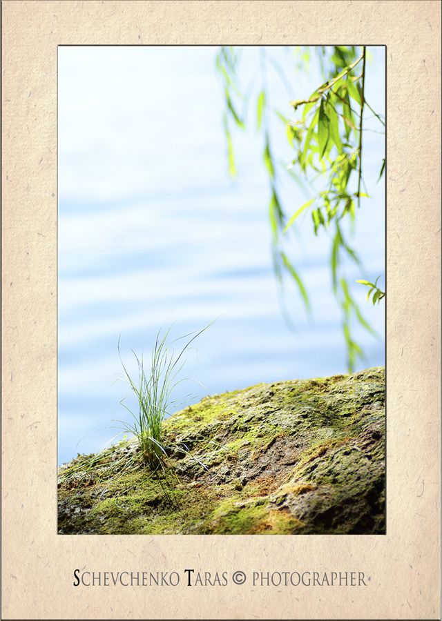 Auf die Einfachheit der Zusammensetzung .... talk!