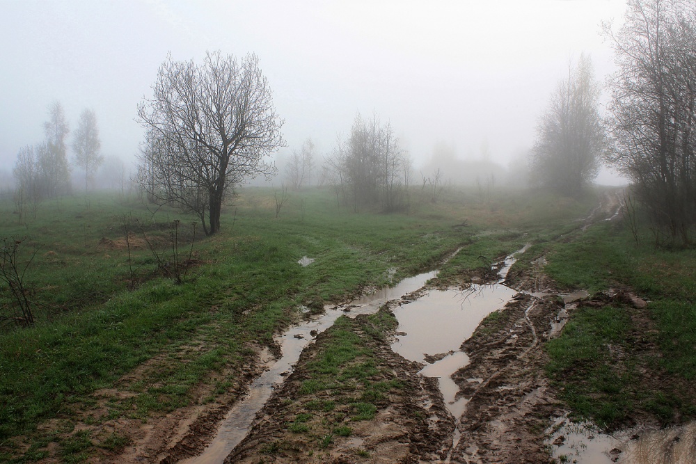 Frühling Nebel auf einer Landstraße.
