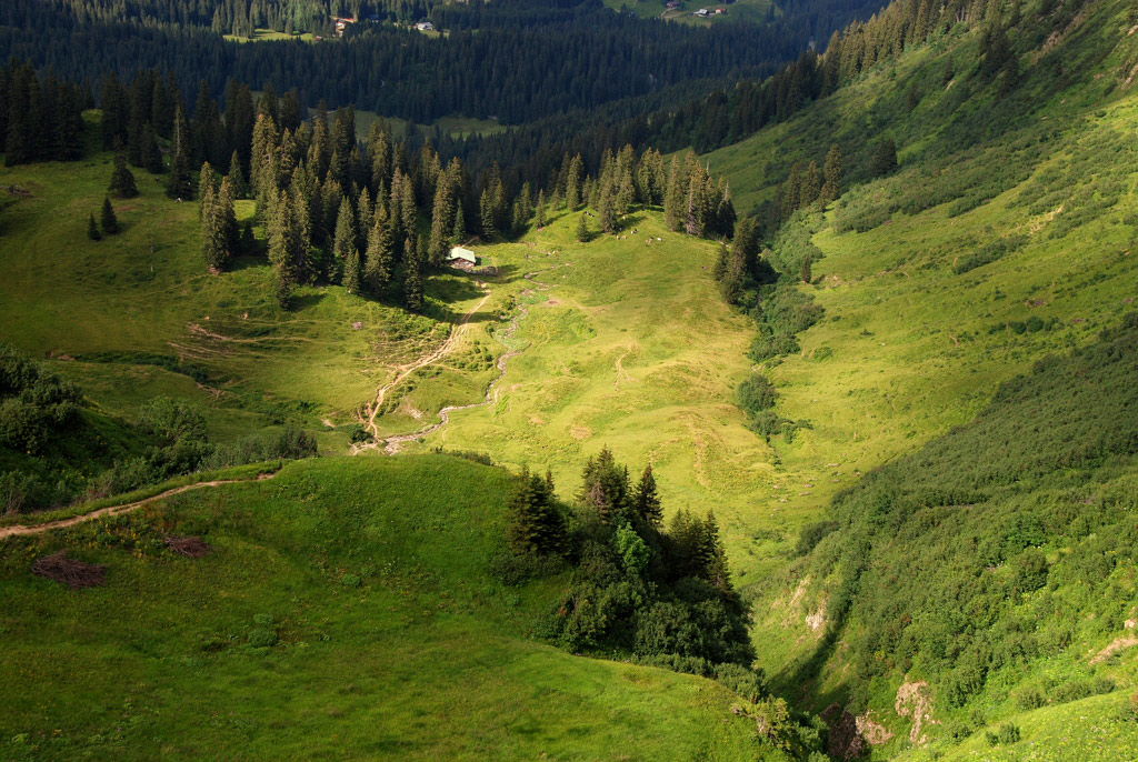 Gestreichelt von der Sonne.