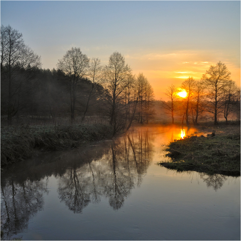 Creek in den Wäldern