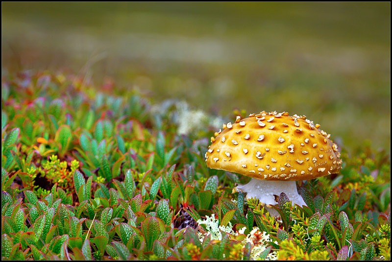 Genießen Sie Ihre Augen auf mich ...