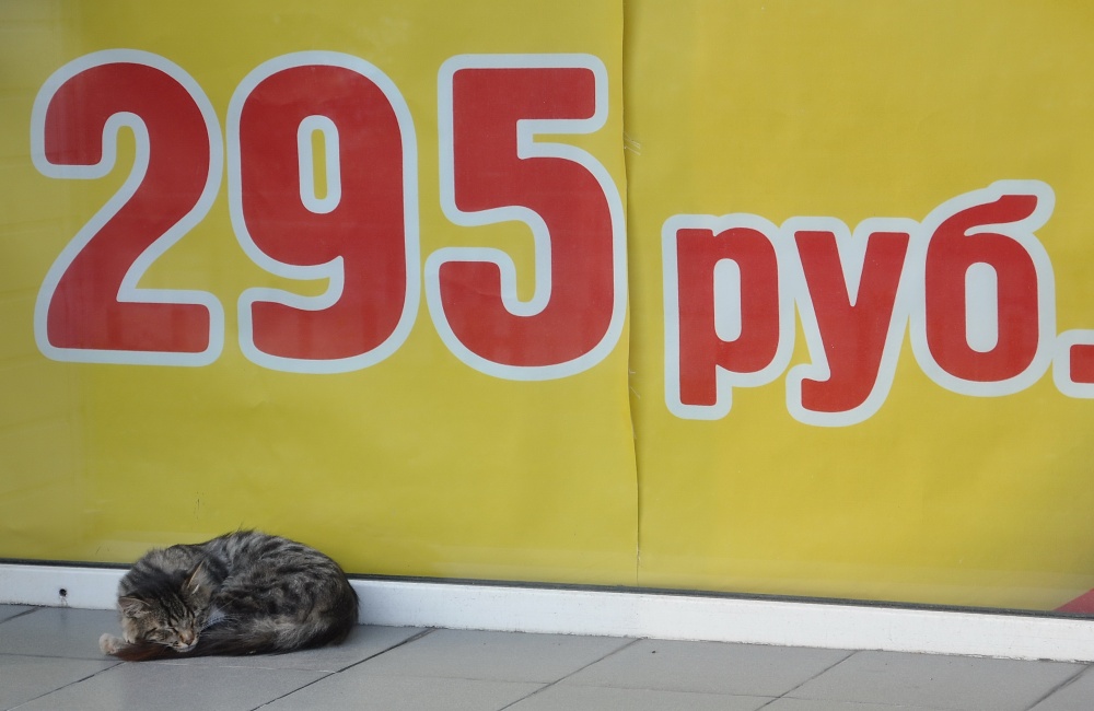 Red Preis ... und die Katze jetzt, wie viel?