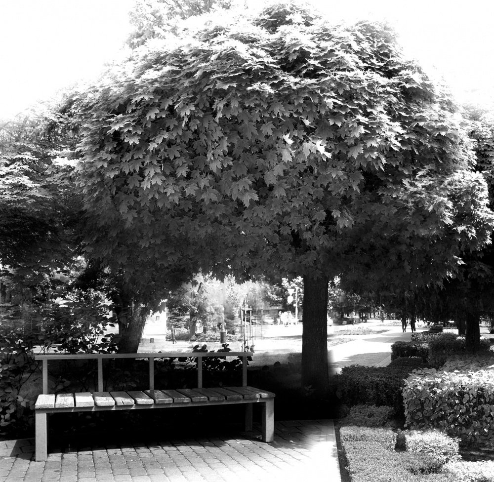 Im Schatten des Nachmittags