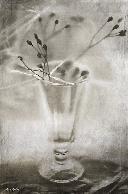 Captured Erinnerungen.