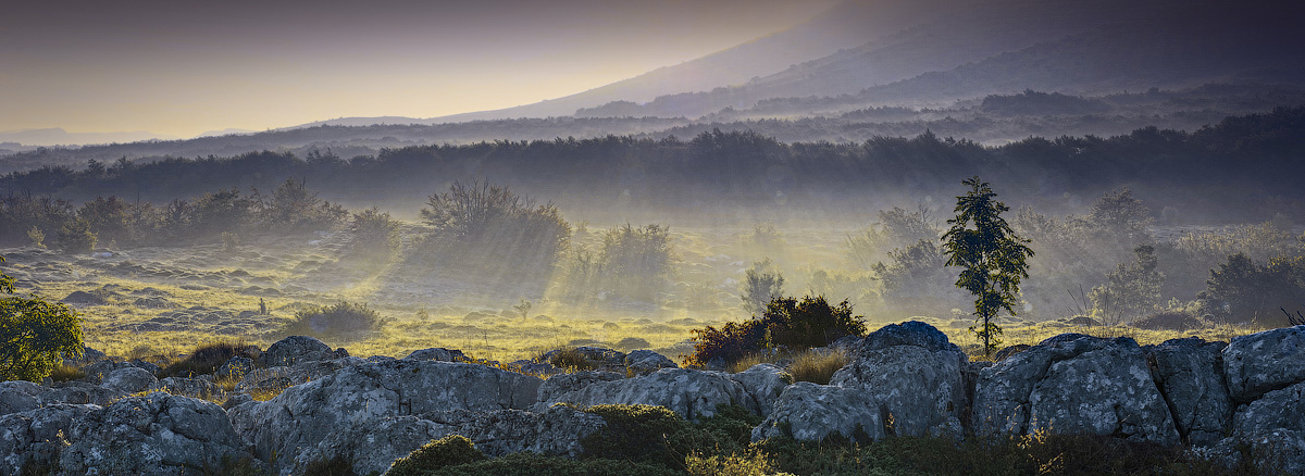 Fabulous Morgen Chater-Dag