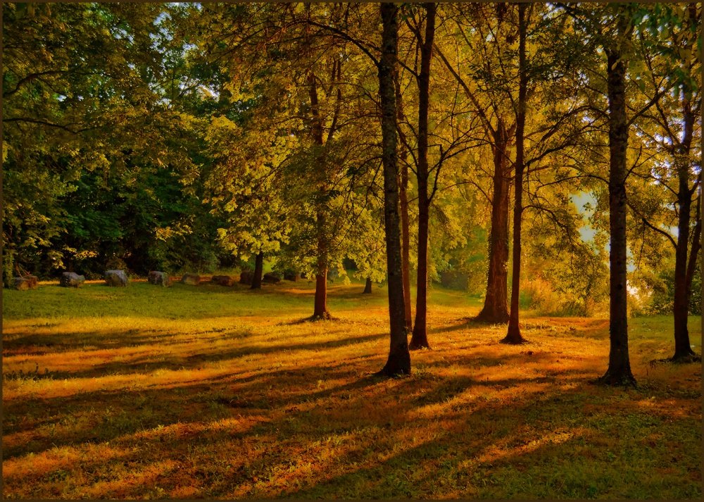 Ausgehende Strahlen des Sommers.
