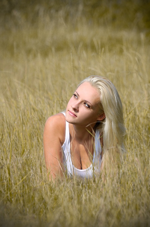 Gegen den letzten Jahren ein Sonnenstrahl