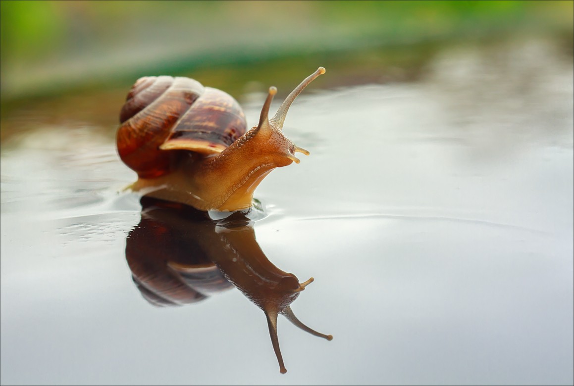 Wir hatten an Land ...