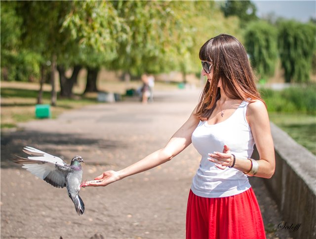 Brazen Taube und Prinzessin