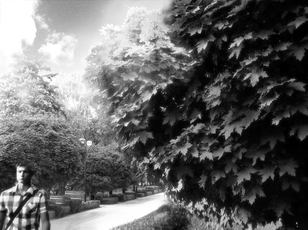 Seine verrückten Gedanken