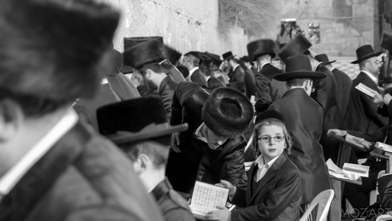 Die Abfolge der Generationen.