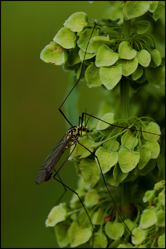 wenn er betrunken war :)