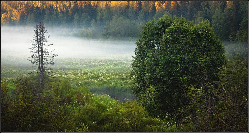weißen Tanz Nebel ...