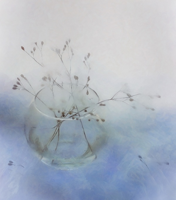 Im Dunst des Morgens Träume ....