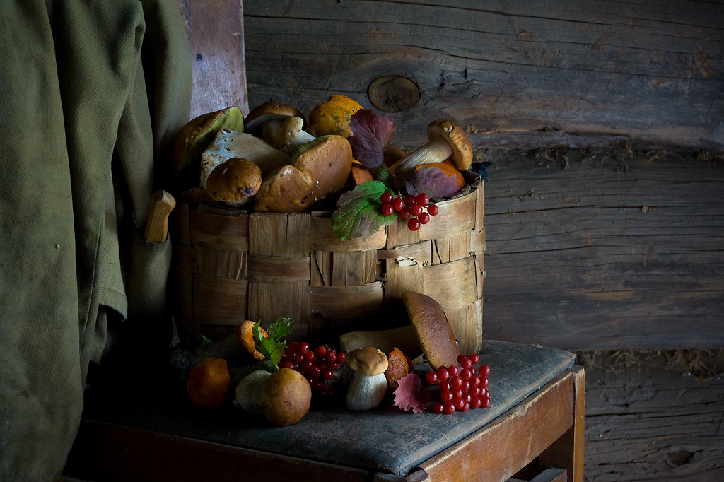 Geschenke Herbstwald