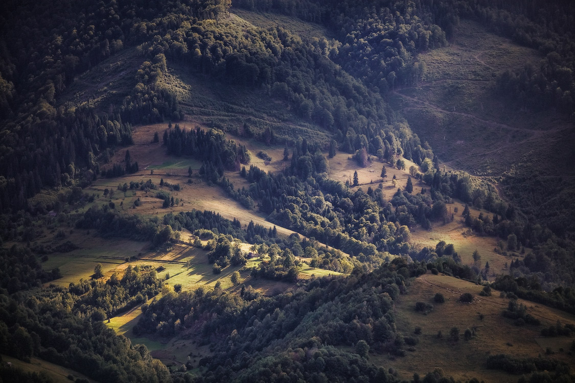 Karpaten. Mitte August.