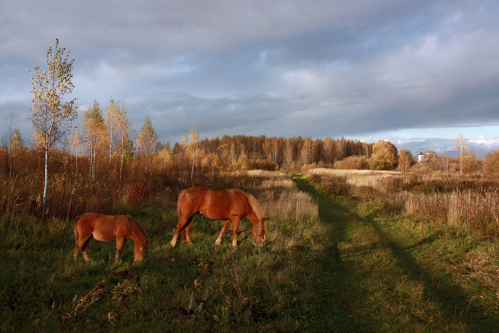 Herbstlandschaft.