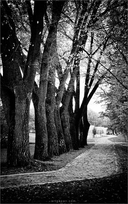 Skizzen der Spaziergänge ...