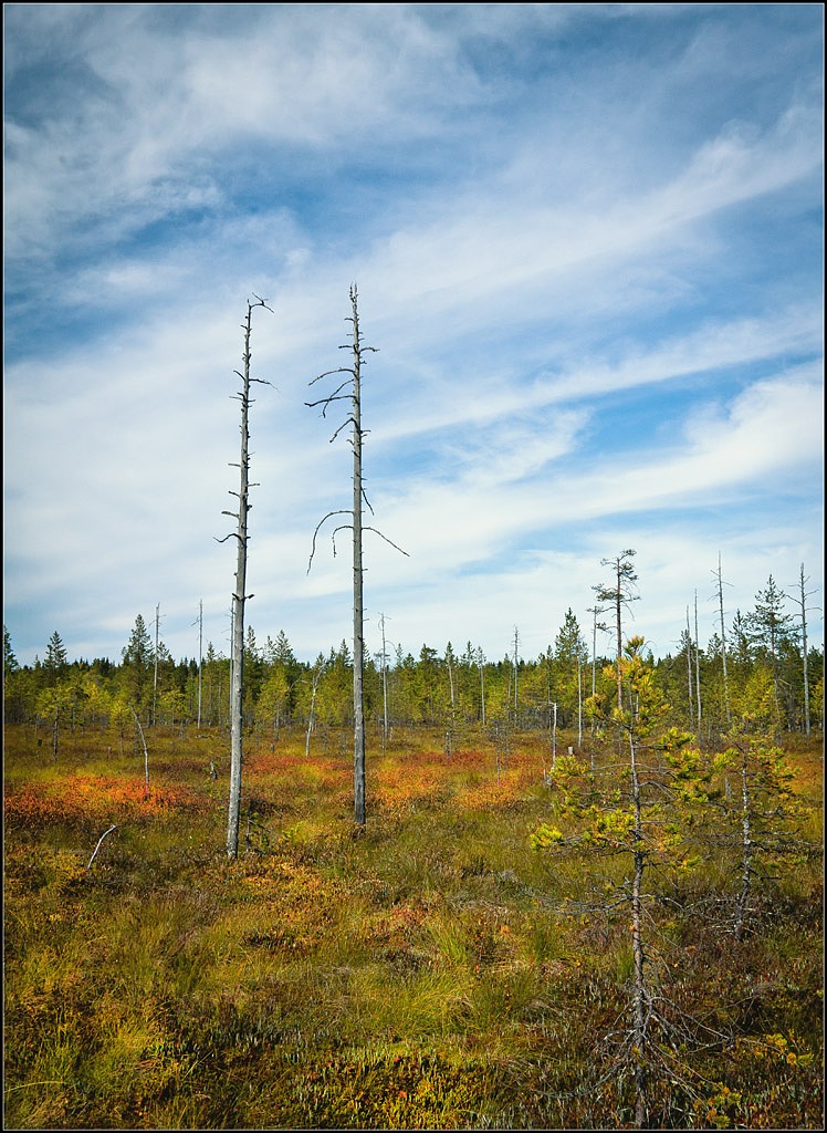 trafen sich die beiden allein ...