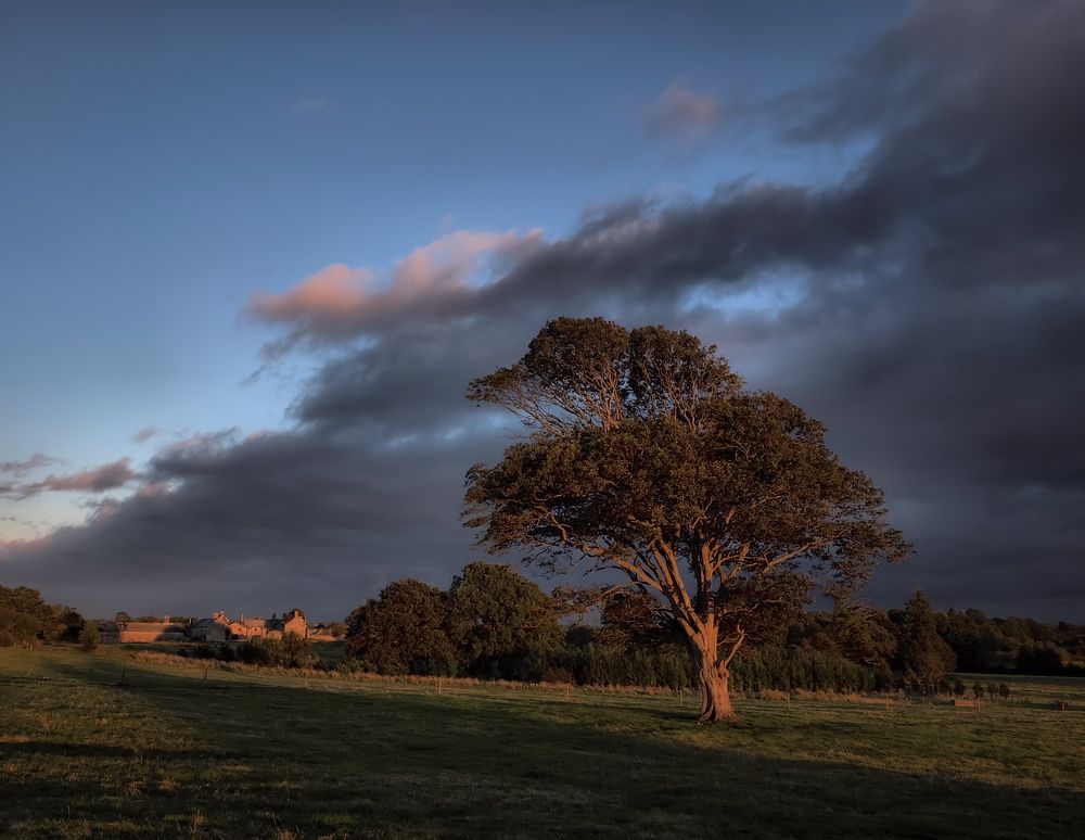 In den Strahlen ... 2 ...