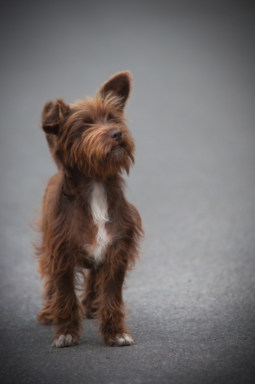 Oh ... und was haben Sie dort so lecker bekam? )))