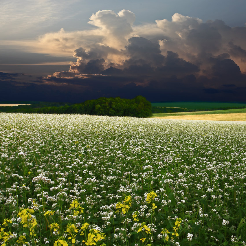 Angleichung der Regen