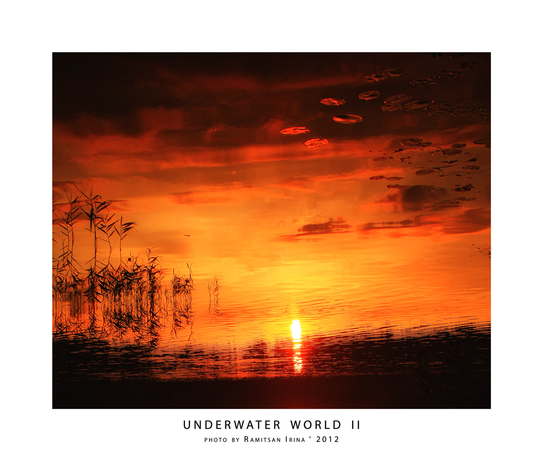 Underwater world  II