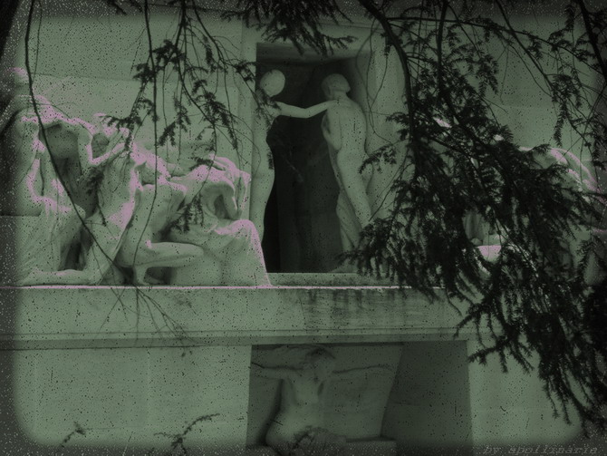 La Force Du Silence #3