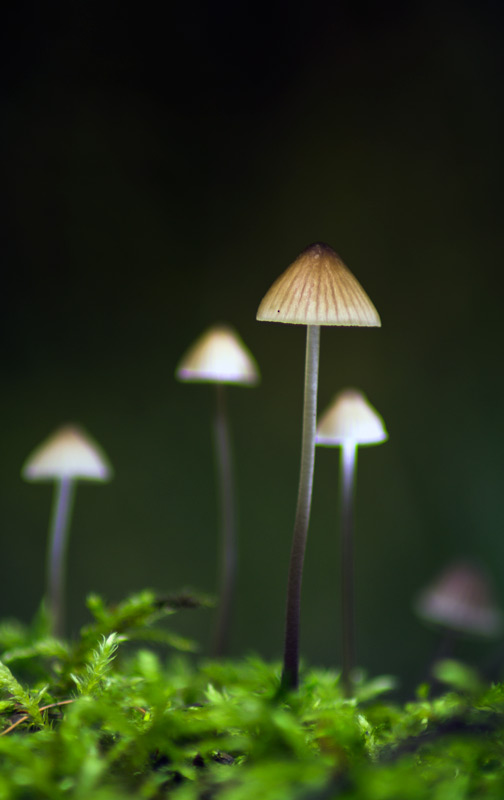 Interior with Stehleuchten