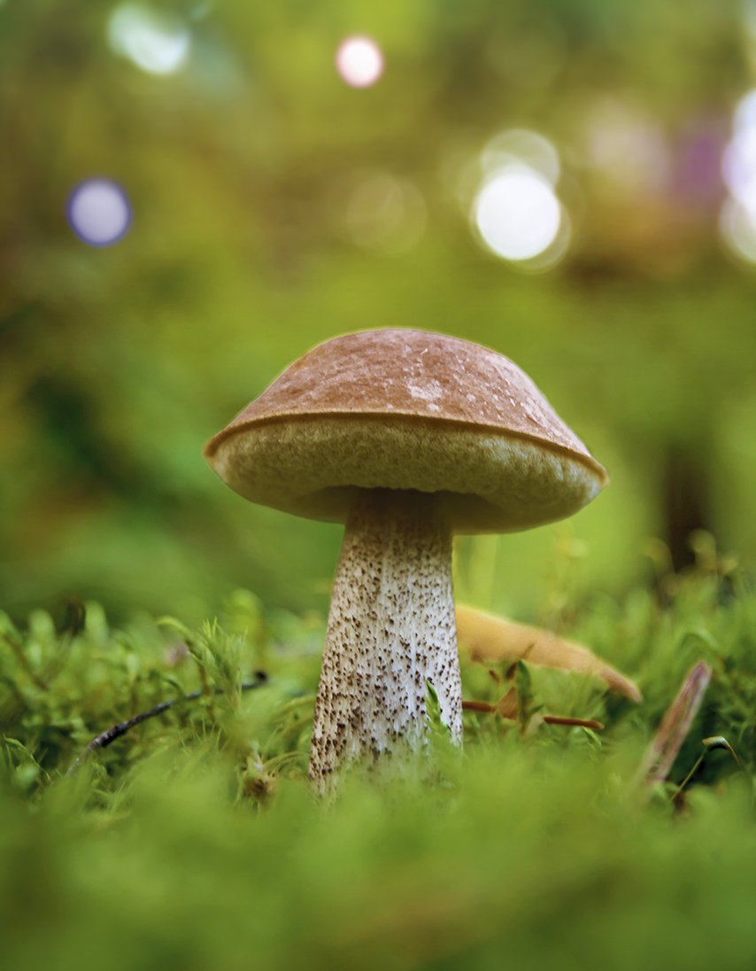 Tut mir leid, schneiden ...