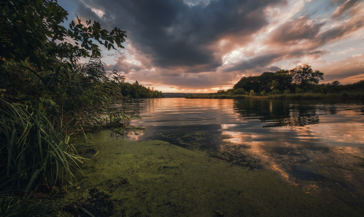 Wasser tragen Duft des Sommers ...