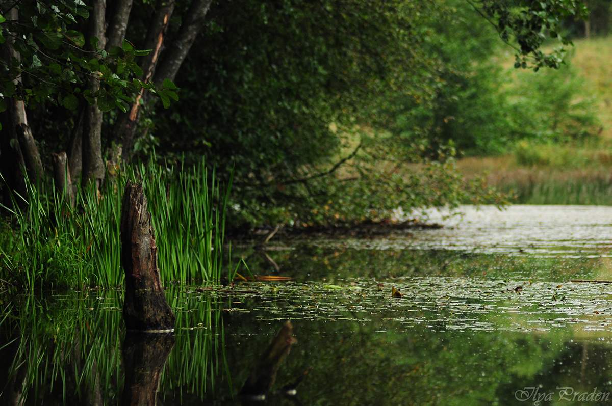 In einer frühen Stunde
