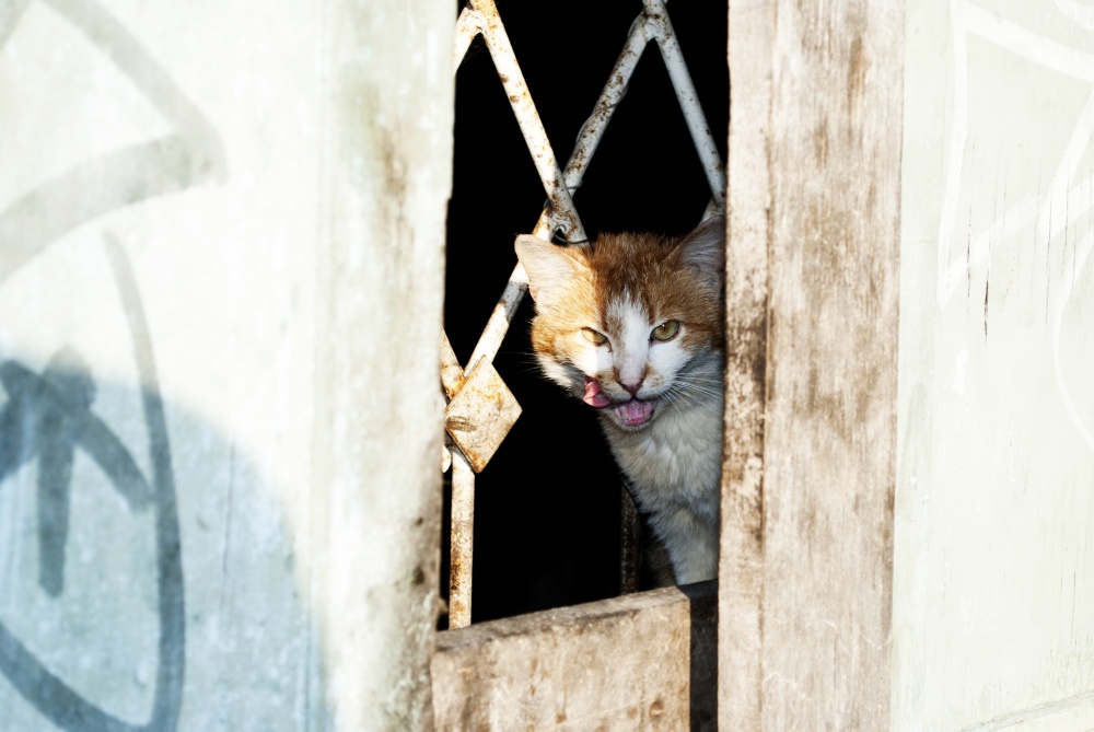 Der Besitzer verlassenen Lagerhalle