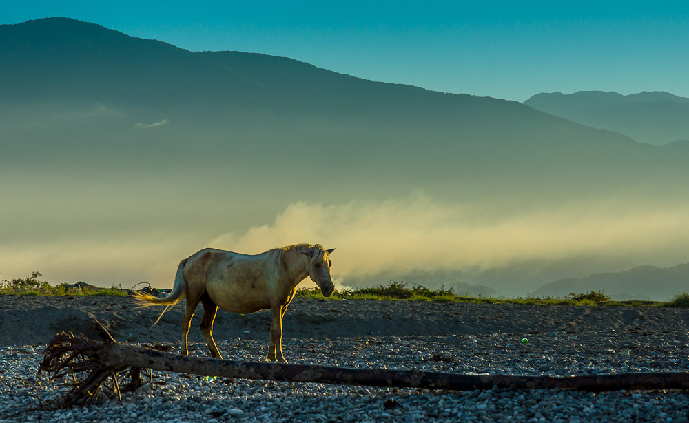 Morgen, Berge, Nebel ...