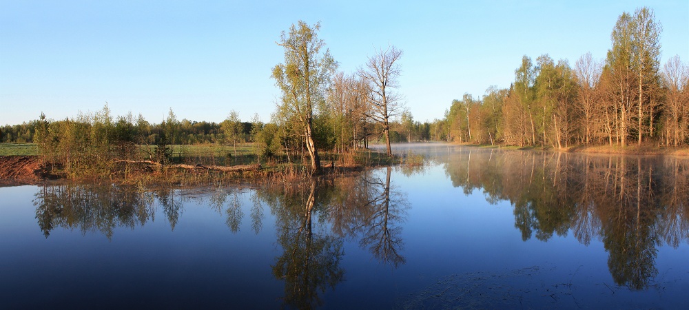 Frühling Blick auf den Teich.