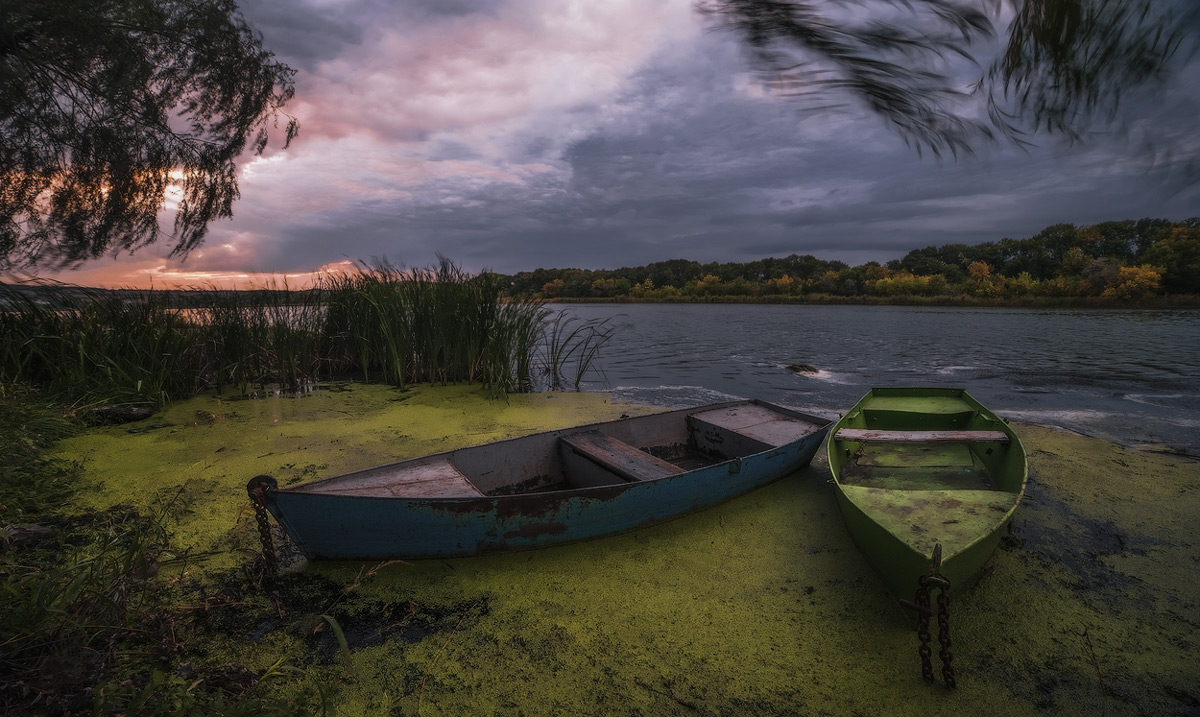 Bereits im Herbst schon riechen ...