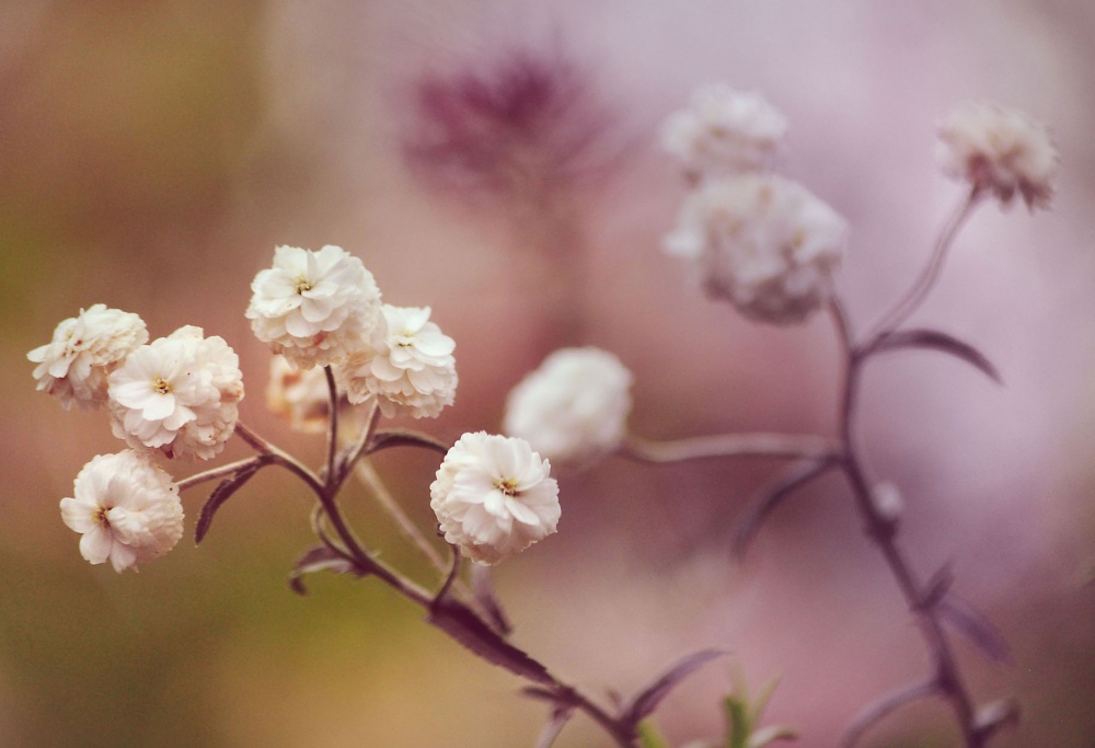 Lassen Sie uns beginnen, im Tanz drehen ...