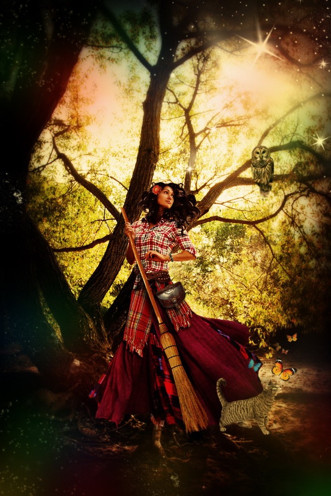 Gespräch mit einer Eule