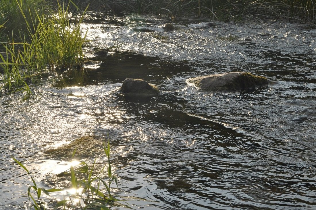 Im ständigen Wettlauf