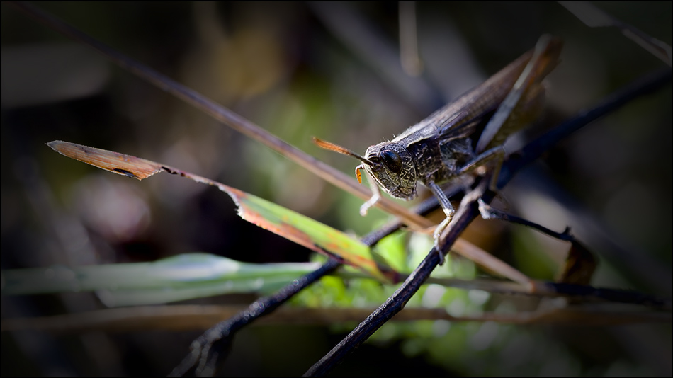 Ich kann nicht schlafen.