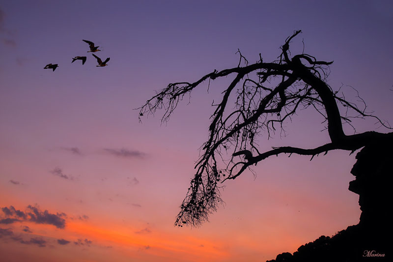 Zwischen Himmel und Erde