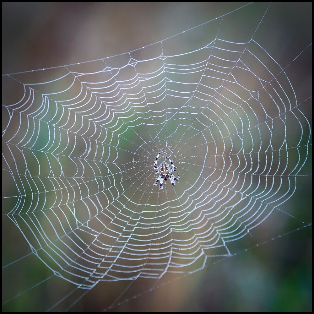 Subtilität der Natur