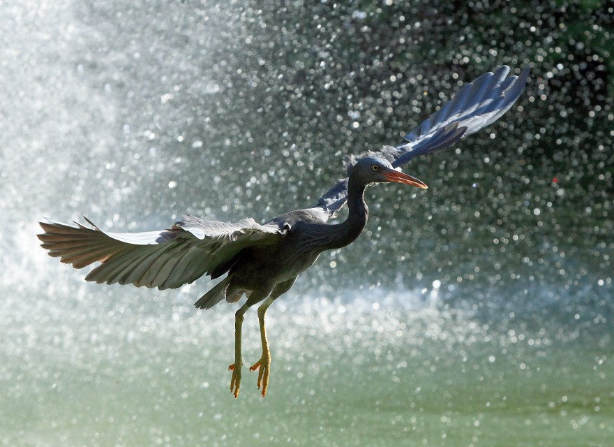 Flug des Wasserfalls