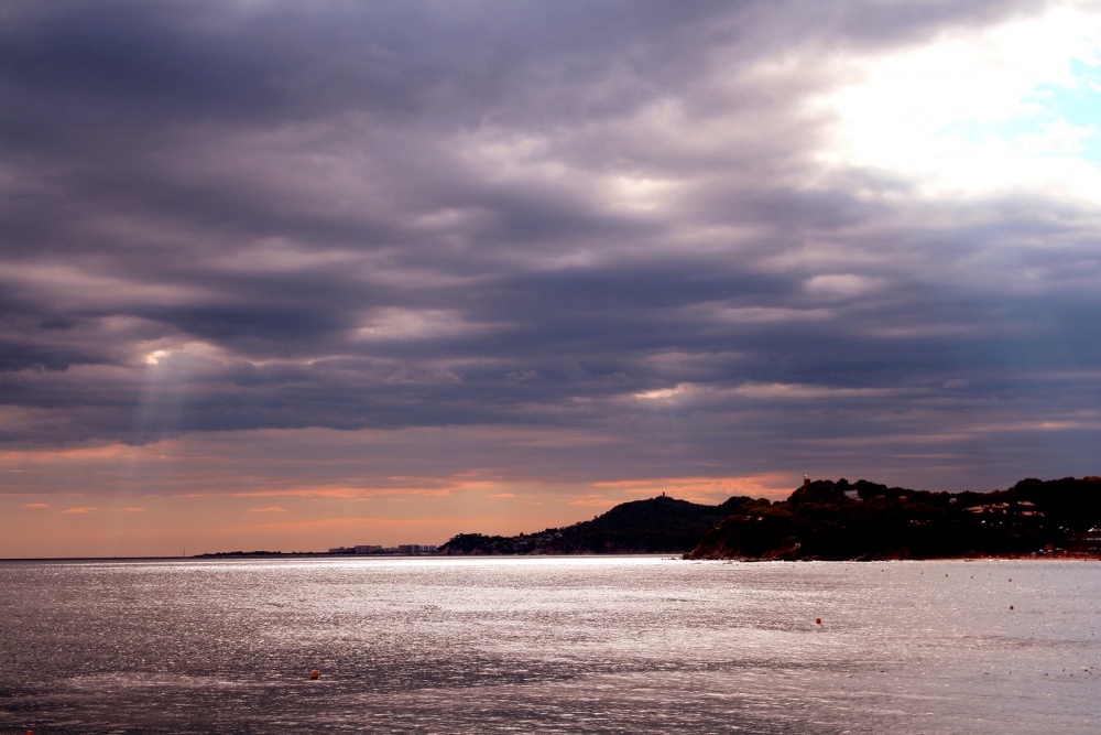 Rays machen ihren Weg